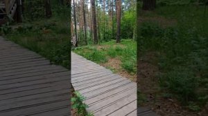 Хвоя. Наикрутейшее место в Новосибирске.