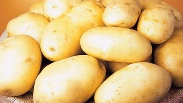 Сорт Картошки Королева Анна. Лучший Раннеспелый Сорт Картофеля