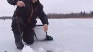 Ловля леща зимой с Нормундом Грабовскисом
