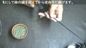 【エアプランツの飾り方】イオナンタ着生鉢植え・吊るしワイヤーの作り方！育て方！