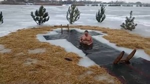 Где зимует клариевый сом.