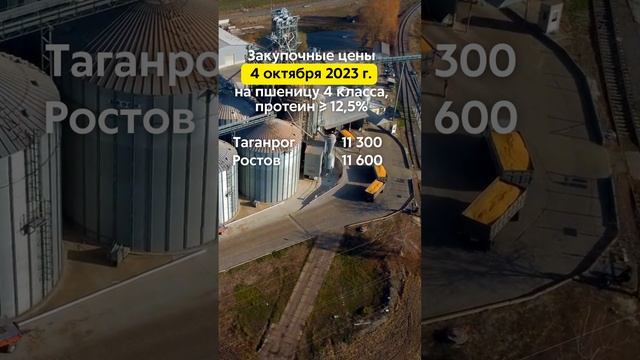04/10/2023г. Закупочные цены на пшеницу 4 класса (протеин ≥ 12,5%) в портах Азовского и Чёрного моря