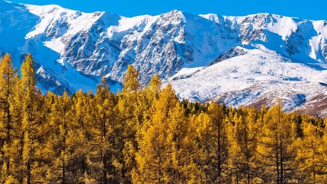 Озеро Караколь на плато Ёштыколь. Кош-Агачский район республики Алтай смотреть онлайн