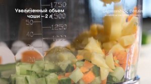 Видеообзор погружного блендера Zigmund & Shtain BH-343 M с расширенной комплектацией