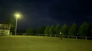 Конный влог: едем покупать лошадь