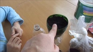 Кружок"Самоделкины".Фитильный полив для растений.