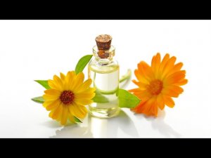 Влияние Эфирных Масел На Человека