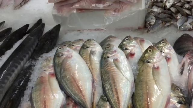 REVEALED ! Dubai’s New Fish Market - Waterfront смотреть онлайн