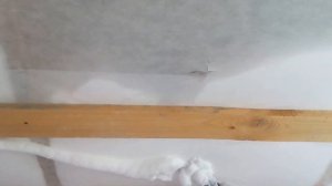 Утепление мансарды и крыши пеноизолом