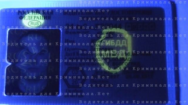 Степени защиты водительских прав