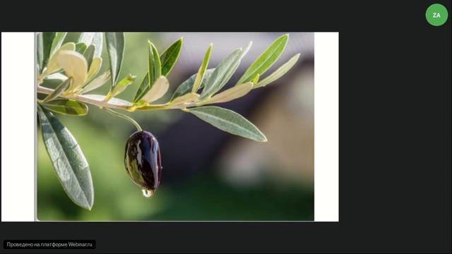 Фунгистоп.+77056336317 смотреть онлайн