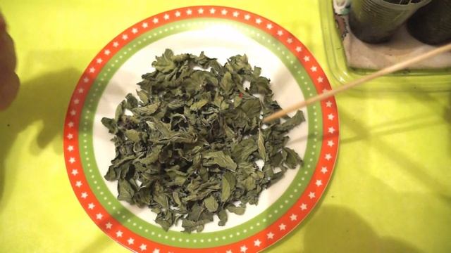 Черная ножка на рассаде! Супер способ борьбы! смотреть онлайн