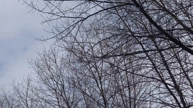 Лазарева суббота 16 апреля. Православный праздник. Что можно и нельзя делать. Народные традиции.