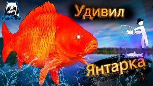 RF4 КЛЕВ ТУТ ПРОСТО УДИВЛЯЕТ ЕЛЕ УСПЕВАЛ #рр4
