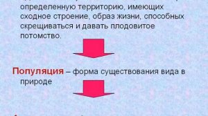 Основные систематические группы животных. Значение классификации животных