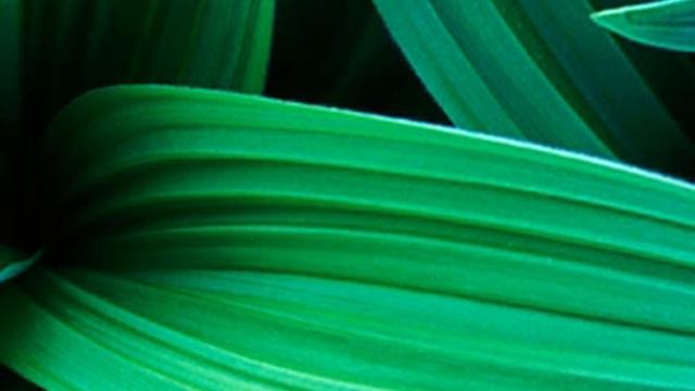 Не могу играть в FNAF 2?! смотреть онлайн