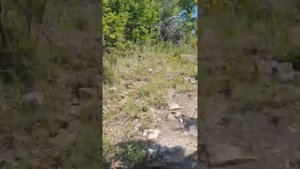 Поклонный крест Геленджик подъём в гору пешком