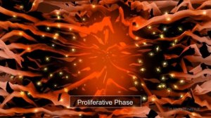 Ультразвуковой SMAS лифтинг Ultraformer 3 | Смас лифтинг Ультраформер | Фото ДО и ПОСЛЕ процедуры