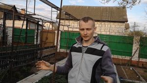 Формируем колоновидные плодовые деревья! Яблоню, грушу, черешню, сливу, вишню, абрикос, персик и др
