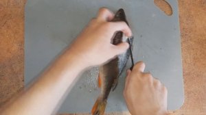 Как быстро почистить окуня?