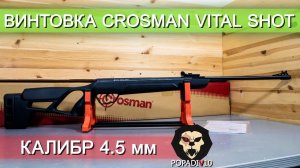 Пневматическая винтовка Crosman Vital Shot (4.5 мм, Пластик) видео обзор 4k