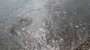 ?  Рыбалка в Монголии