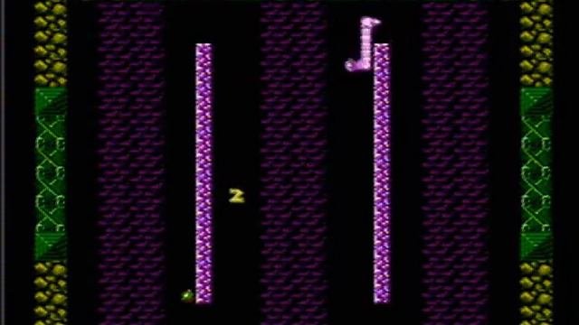 Super NeSnake 2 - NES Gameplay