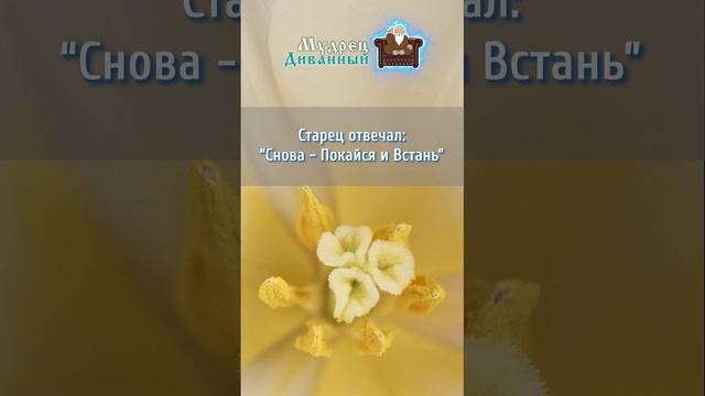 Притча Сколько вставать и падать