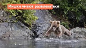 20 кадров, сделанных за секунду до неизбежного