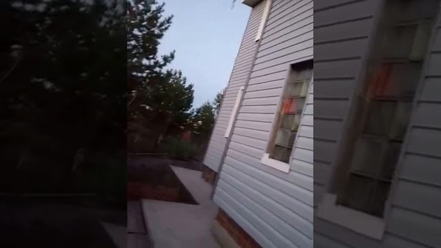 Сенсация нашествие тысячи майских жуков смотреть онлайн