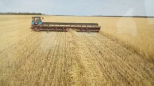 Уборка пшеницы с валков 2017