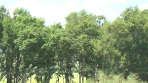 ❤️VLOG: Поездка на море на машине❤️