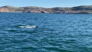 Авто путешествие из СПБ в Териберку