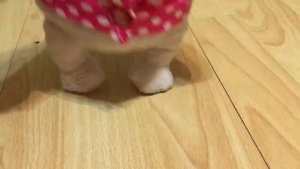 Клип Басик и лили ((((((