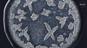 Очень интересно!!!  Так выглядят слезы под микроскопом.