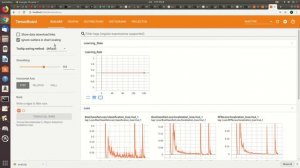 tensorboard visualization for learning rate