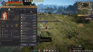 Организация второстепенных персонажей (Твинов) - гайд Black Desert