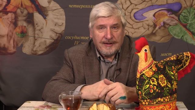 Первая научная история эволюции неокортекса :-) смотреть онлайн