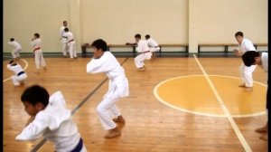 Каратэ-до. Краткий обзор из занятий. #karate #wkf #kumite