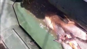 Рыбалка возле мариуполя Выпуск 2