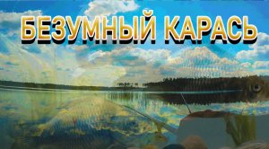 НАЛОВИЛСЯ КАРАСЯ, ПОКЛЕВКИ НА КАЖДОМ ЗАБРОСЕ, ДРЕССИРОВАННЫЕ ОКУНИ, СЪЕМКИ ПОД ВОДОЙ.