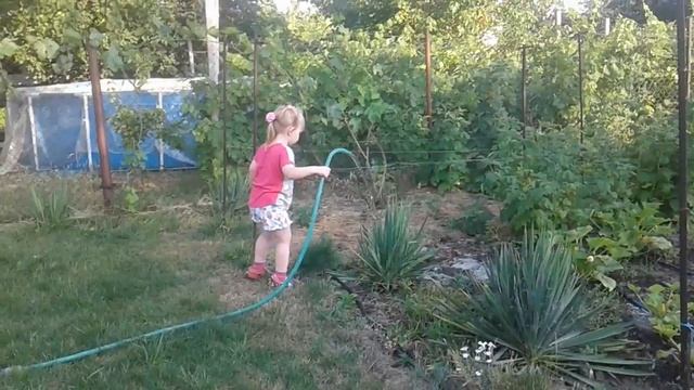 полив на даче