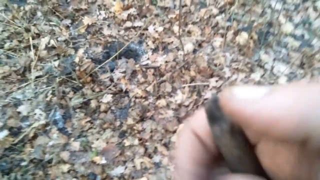 ПОИСК МОНЕТ ВДОЛЬ СТАРИННОГО ТРАКТА