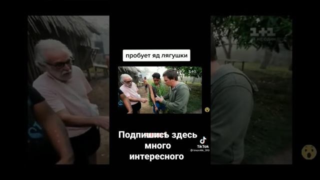 Комаров пробует яд лягушки