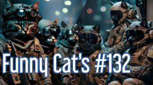 Смешные коты #132