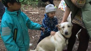 2018 06 12 День России в компании друзей