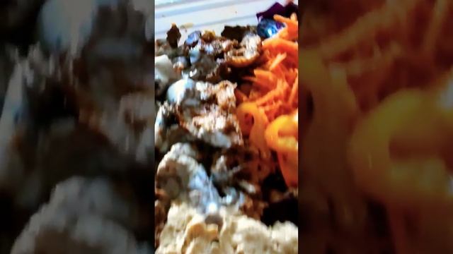 Что Предпочтете СУШИ или ШАУРМУ??? What Would You Prefer Sushi or Shawarma? смотреть онлайн