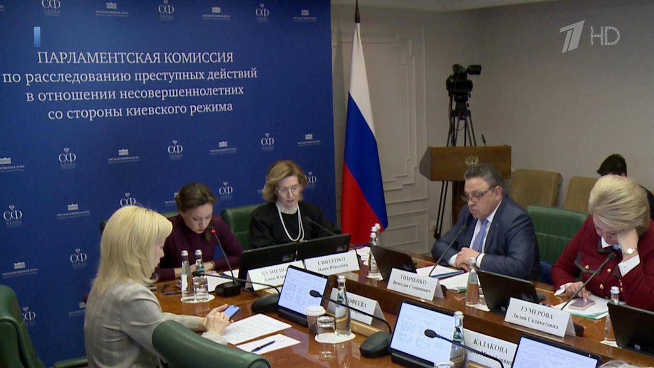 В Совфеде на заседании парламентской комиссии говорили о зверствах украинских боевиков