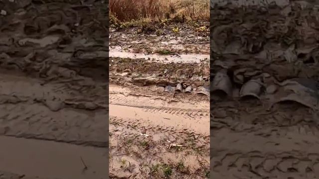 Сандеро ПОДВИС. Передний и полный привод на бездорожье. Рено Сандеро и Нива Тревел. Сравнение.