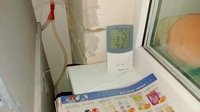 Уборка у бройлеров в квартире/ ждём вылупления перепелят...
